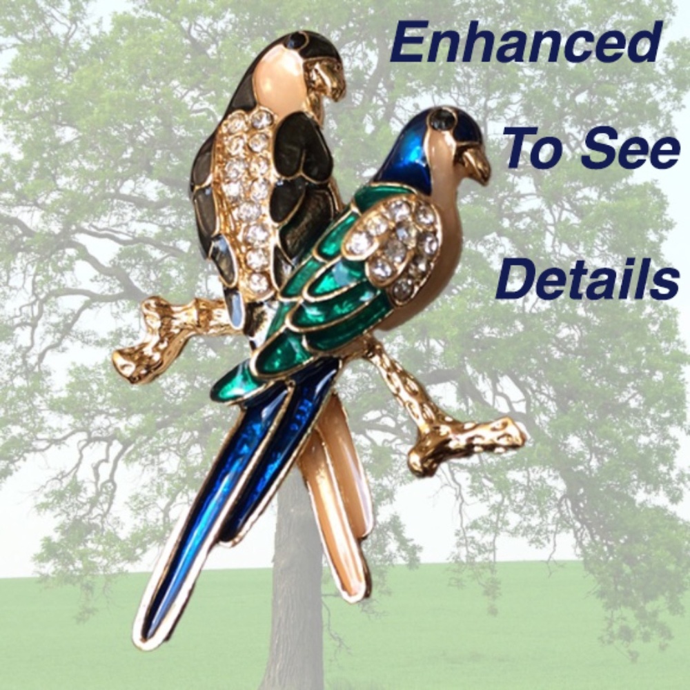 Parrot Brooch / Pin back -2 Parrots Crystals Enamel Each with Claws.